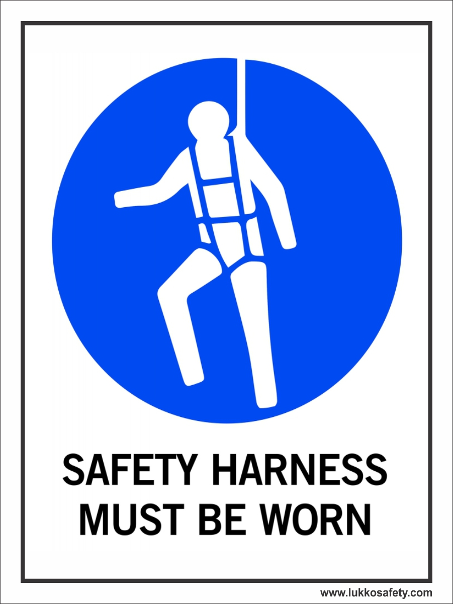 LS-P17 LS - P17 - Image 1